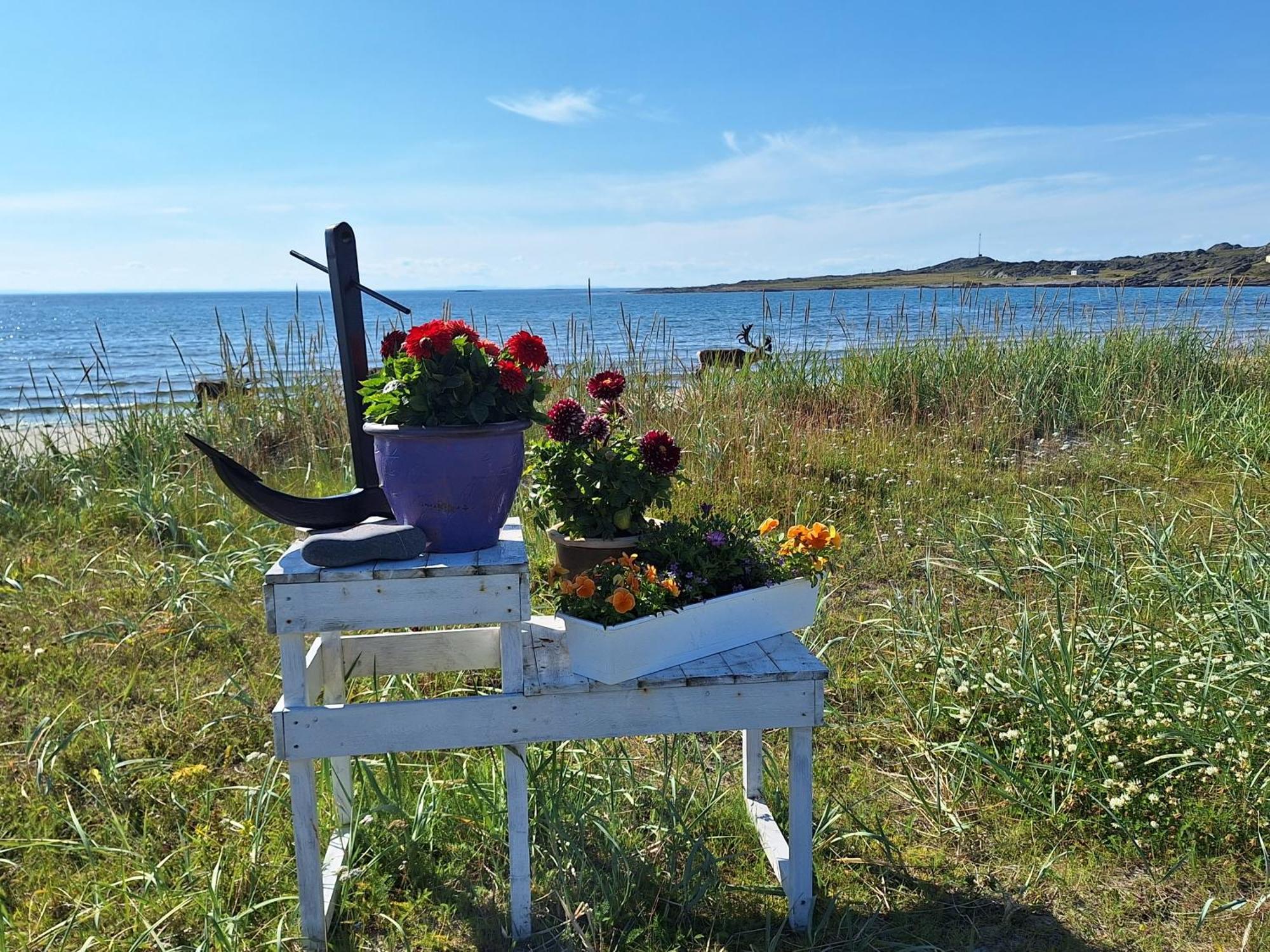 Feriehus Ved Barentshavet - Holiday Home By The Barents Sea Ytre Kiberg Екстер'єр фото